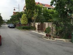 palm-drive photo thumbnail #9